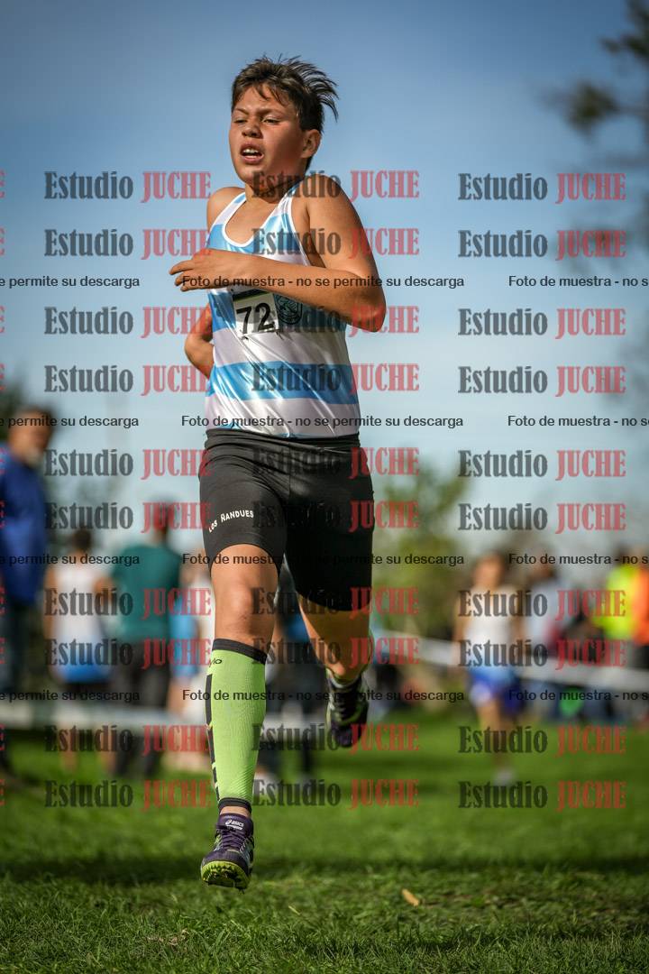 Fotos de la llegada del cross de 2000 m