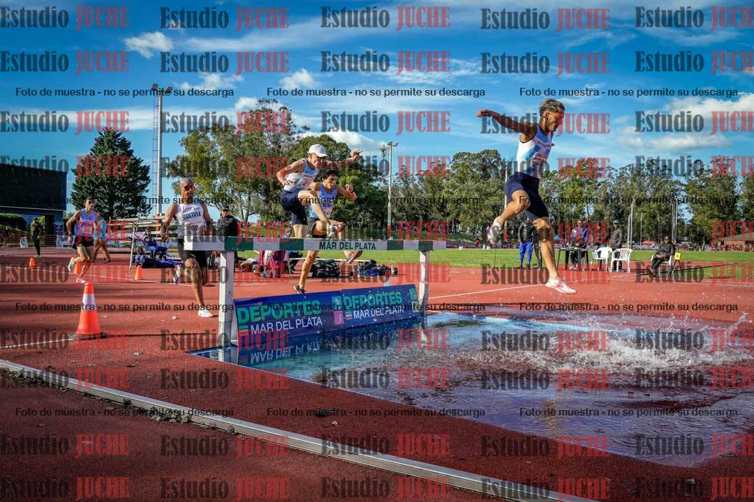 Fotos de los 3000 m con obstáculos de varones