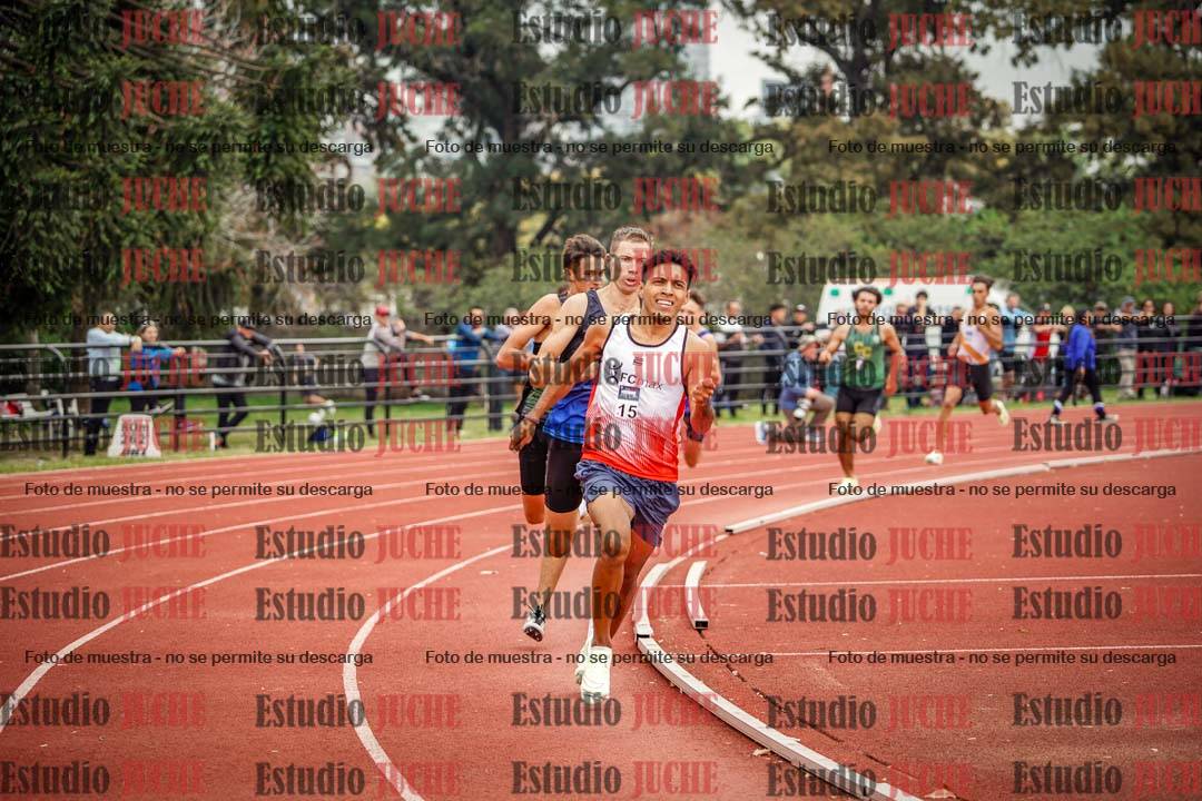 Fotos de los 800 m llanos de varones
