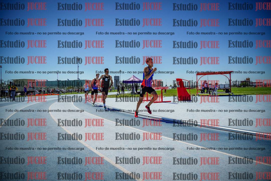 Fotos de los 800 m llanos de varones