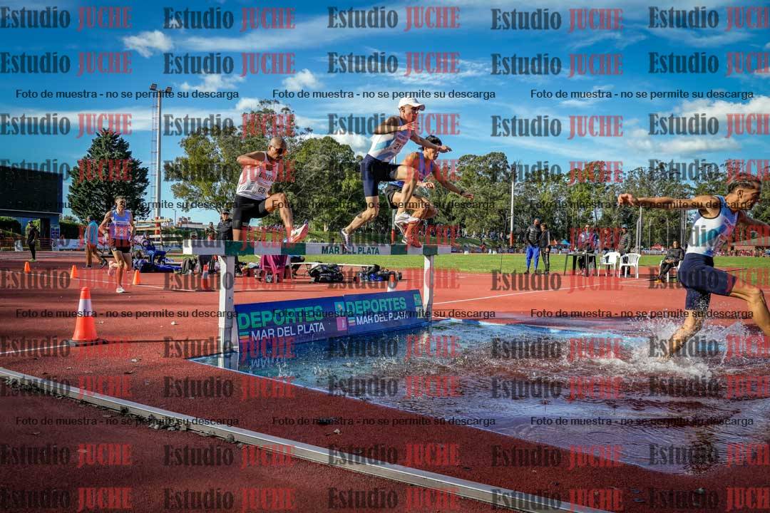 Fotos de los 3000 m con obstáculos de varones