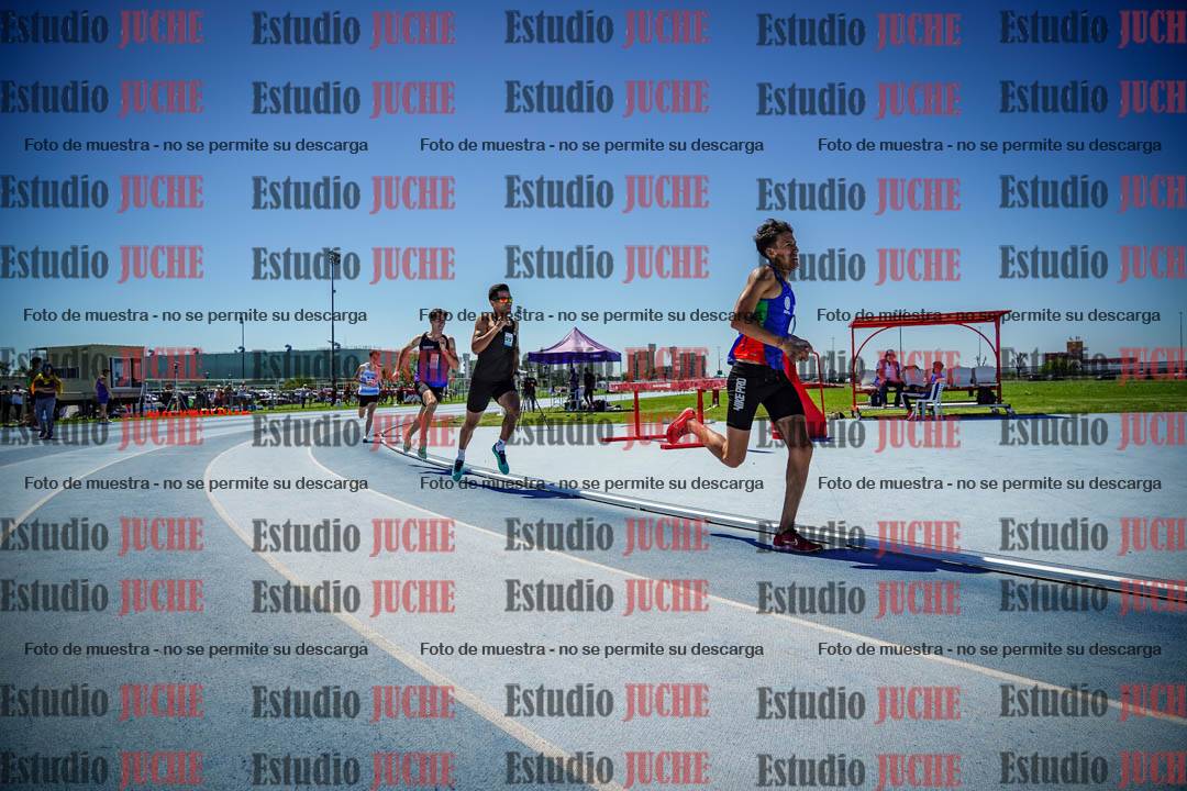 Fotos de los 800 m llanos de varones