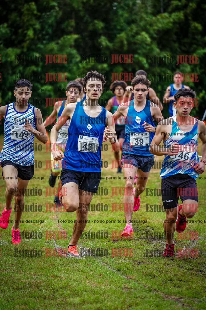 Fotos en el circuito
