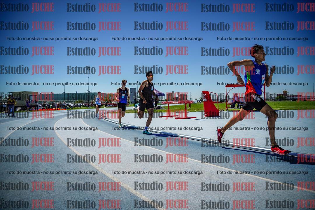 Fotos de los 800 m llanos de varones