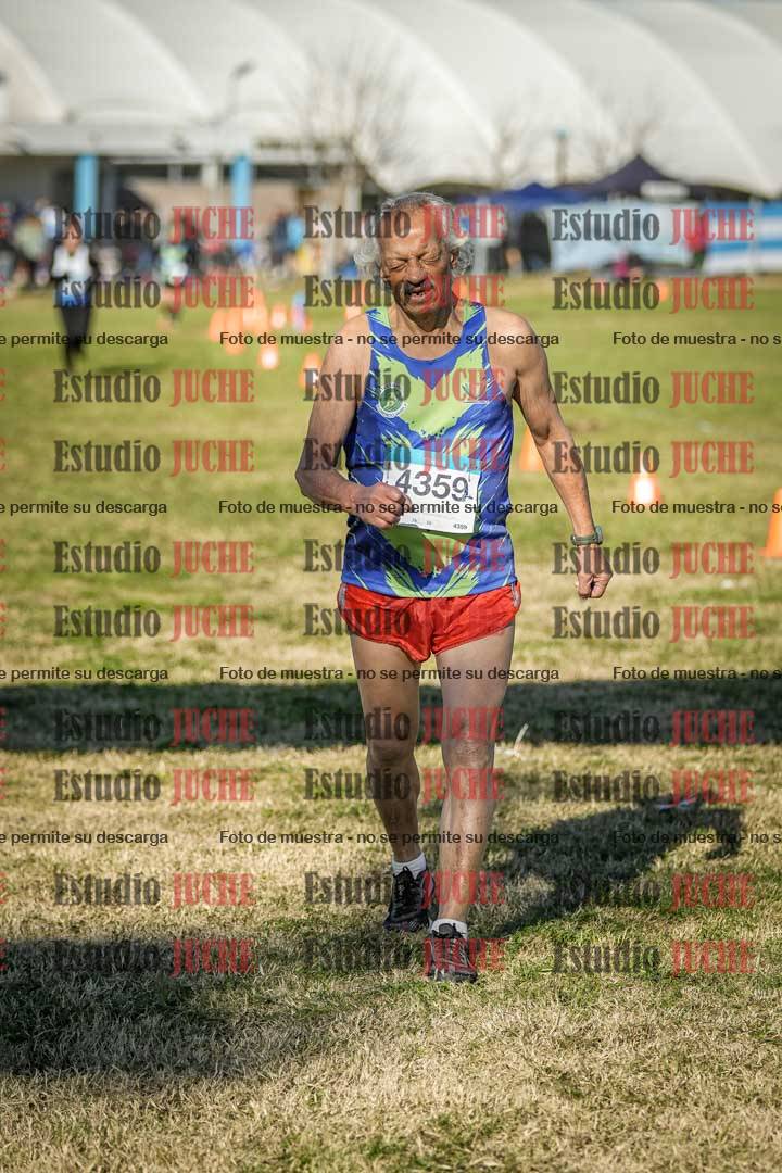Fotos de las llegadas