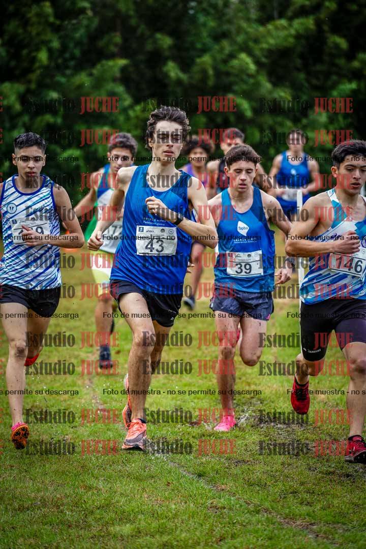 Fotos en el circuito