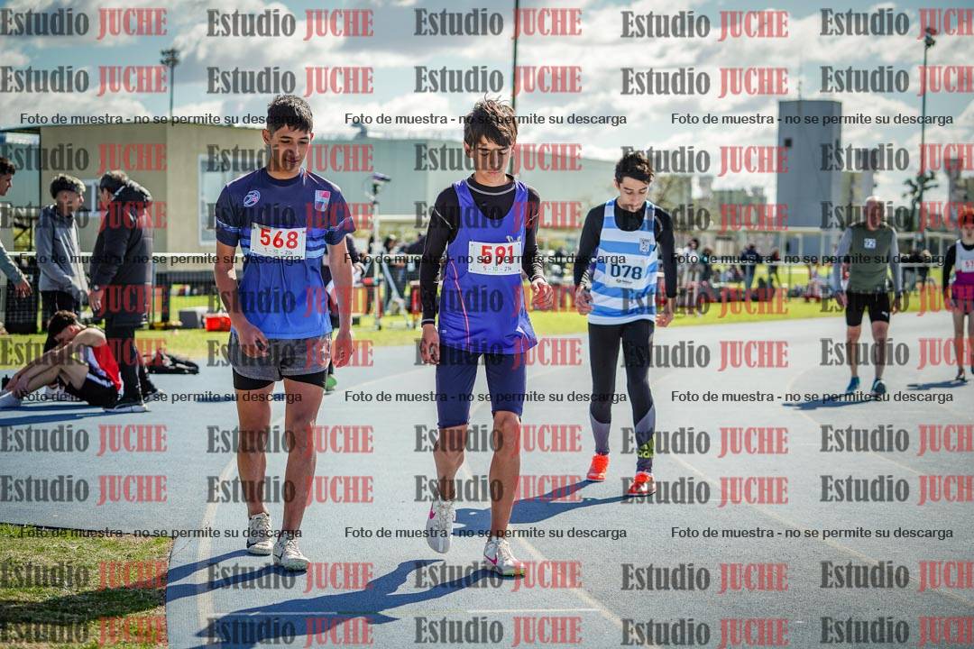 Fotos de los 800 m llanos de varones