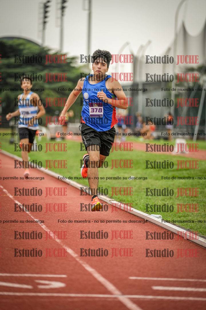 Fotos de los 800 m llanos de varones