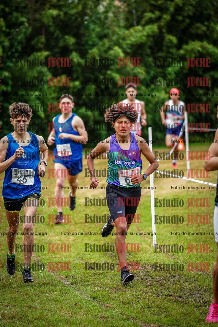 Fotos en el circuito