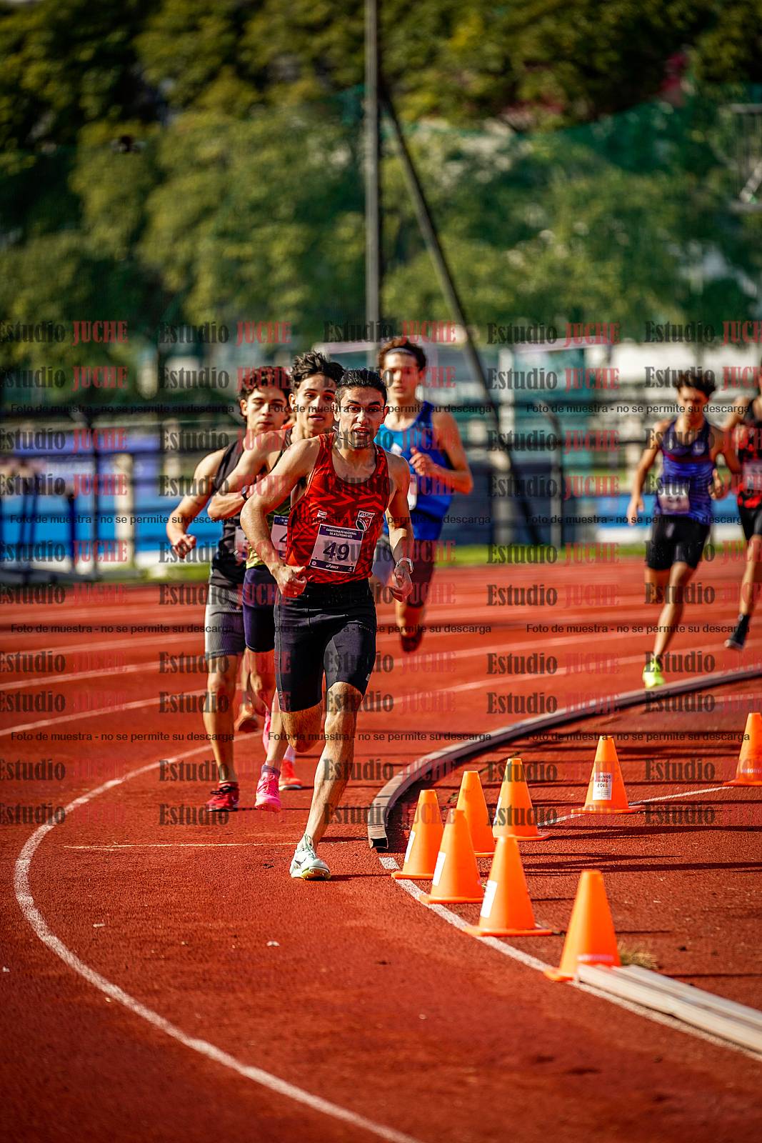 Fotos de los 800 m de varones