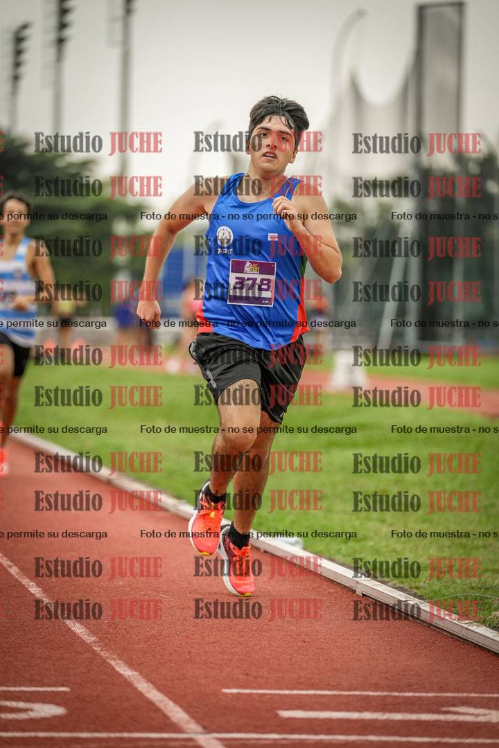 Fotos de los 800 m llanos de varones