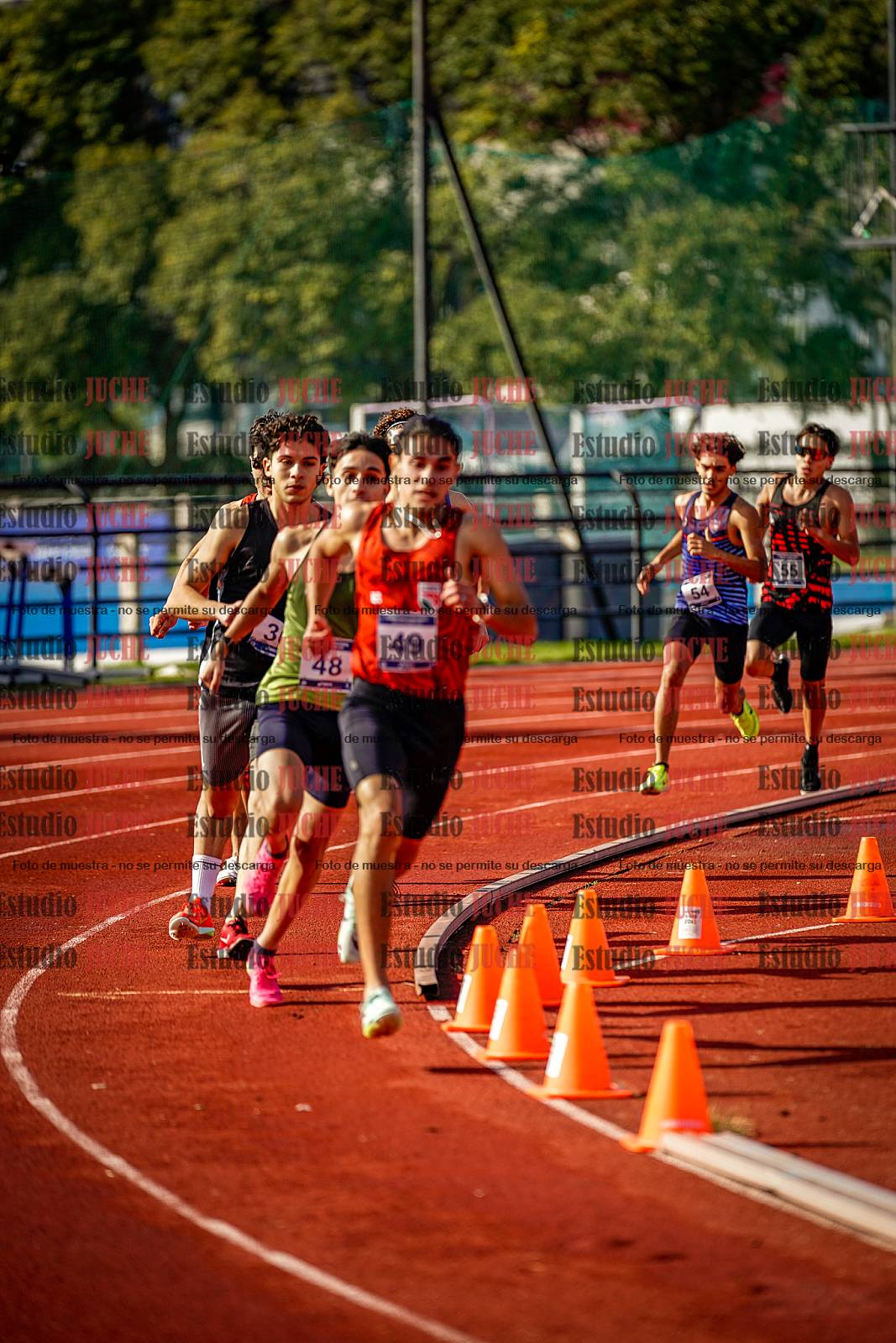 Fotos de los 800 m de varones