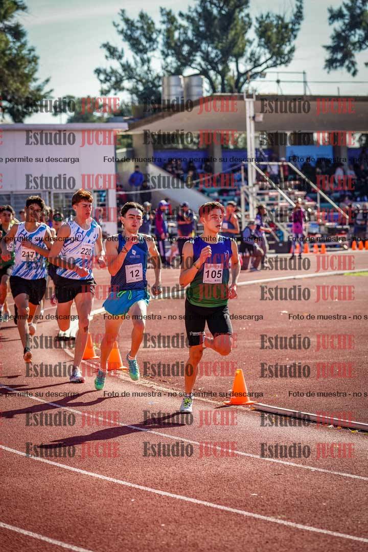 Fotos de los 800 m llanos de varones