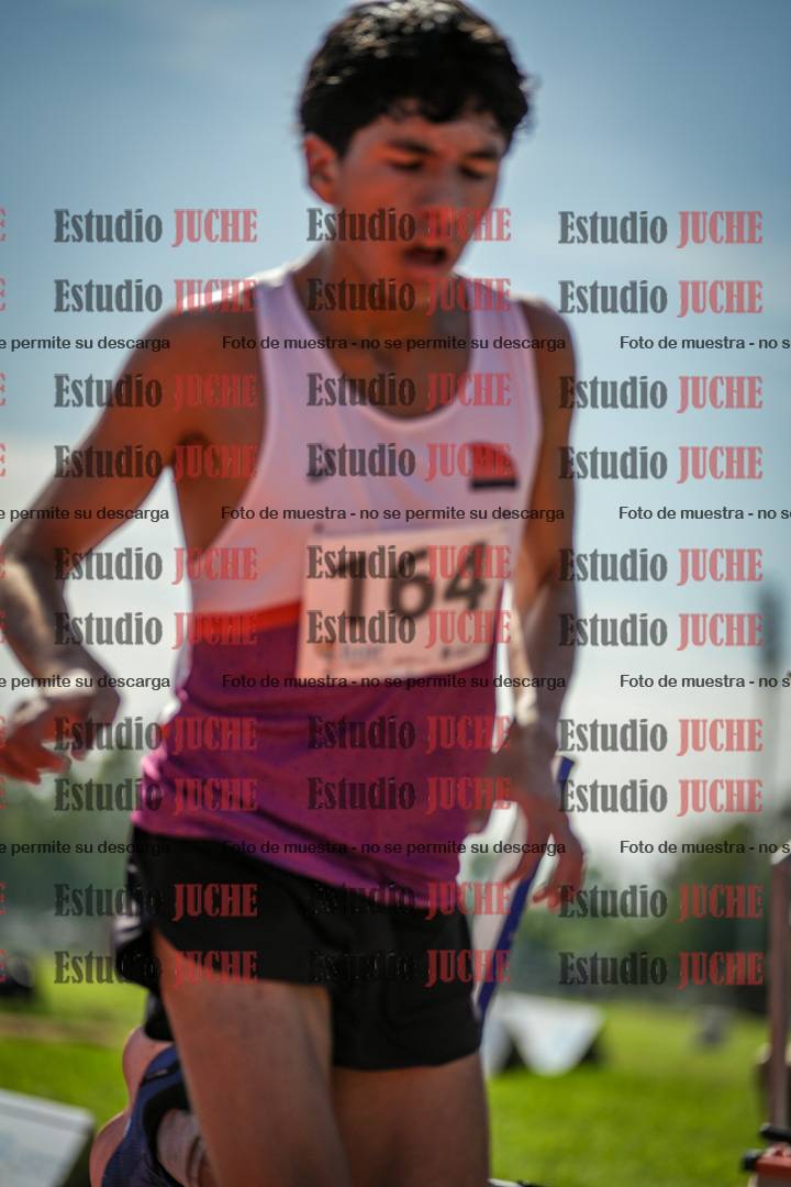 Fotos de los 5000 m llanos