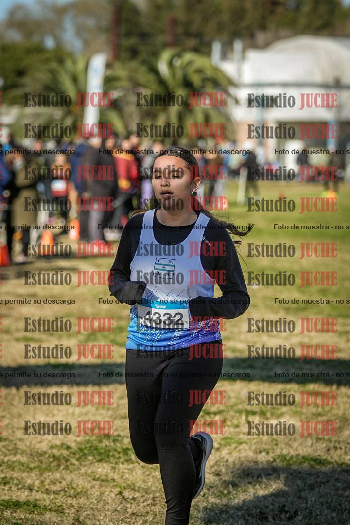 Fotos de las llegadas