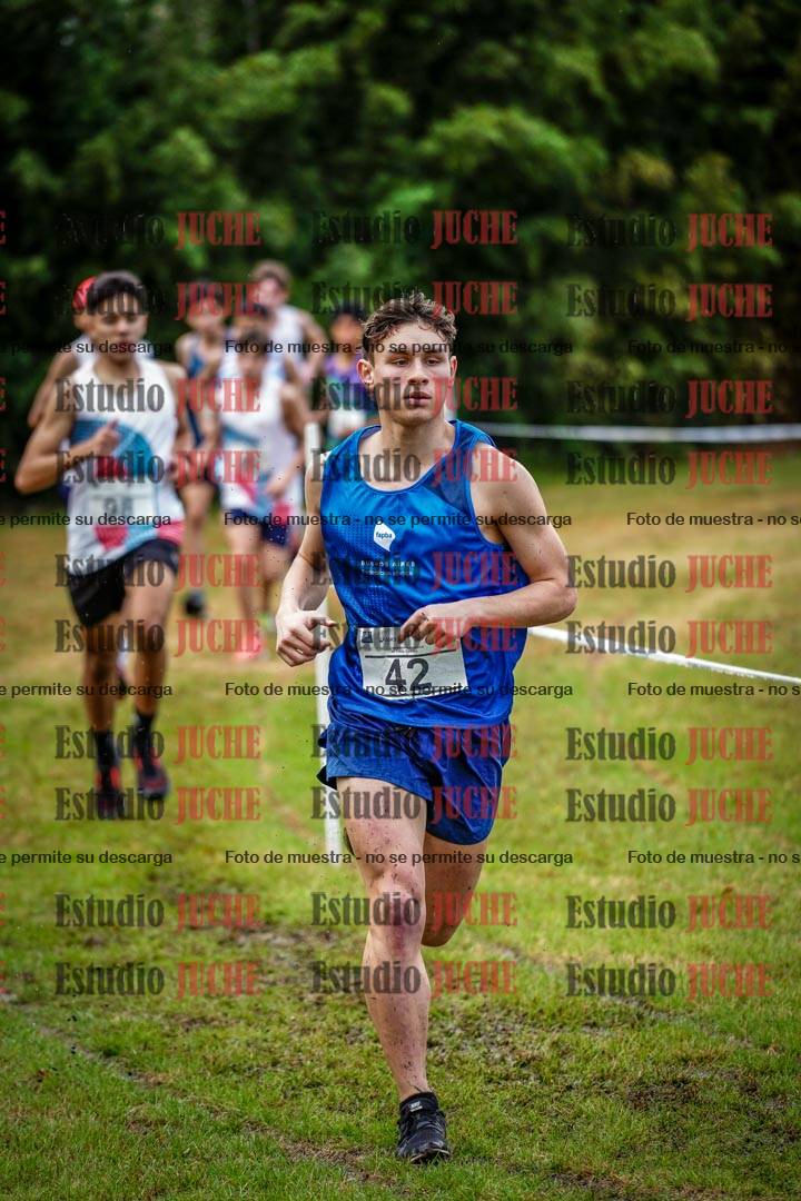 Fotos en el circuito