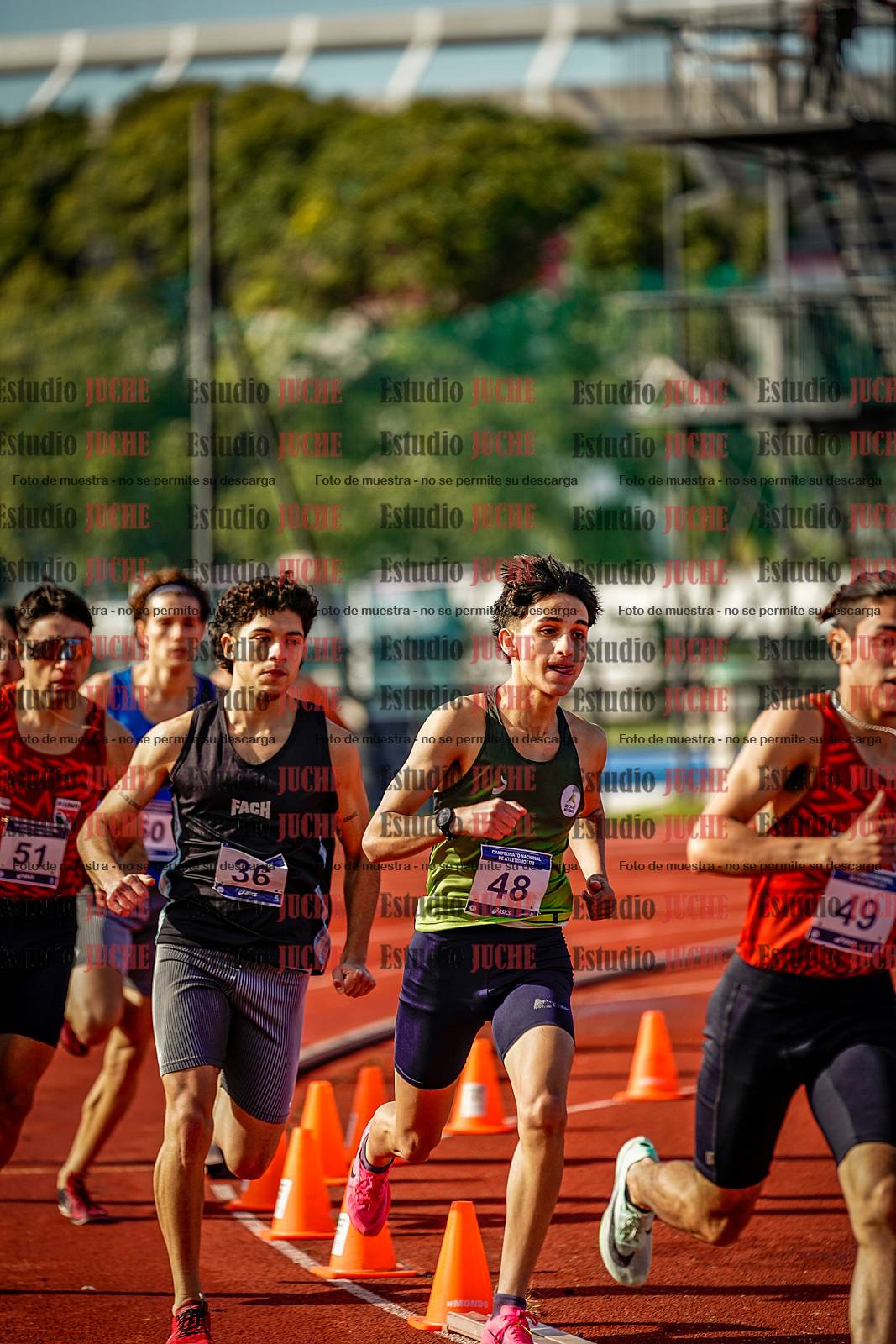 Fotos de los 800 m de varones