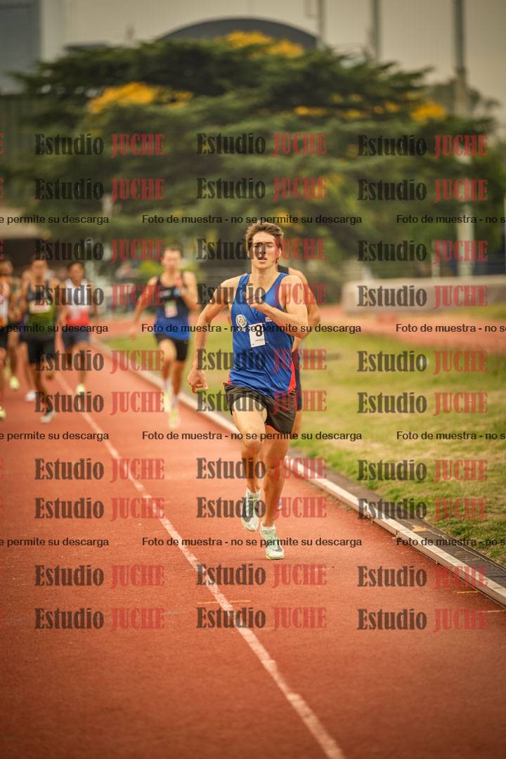 Fotos de los 800 m llanos de varones