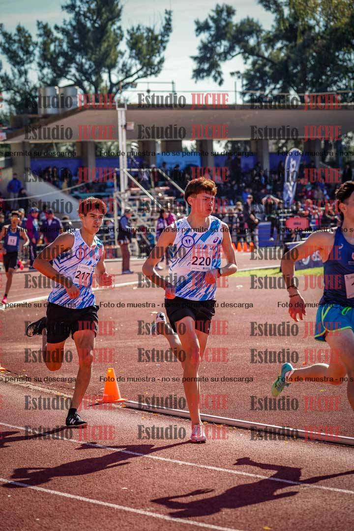 Fotos de los 800 m llanos de varones