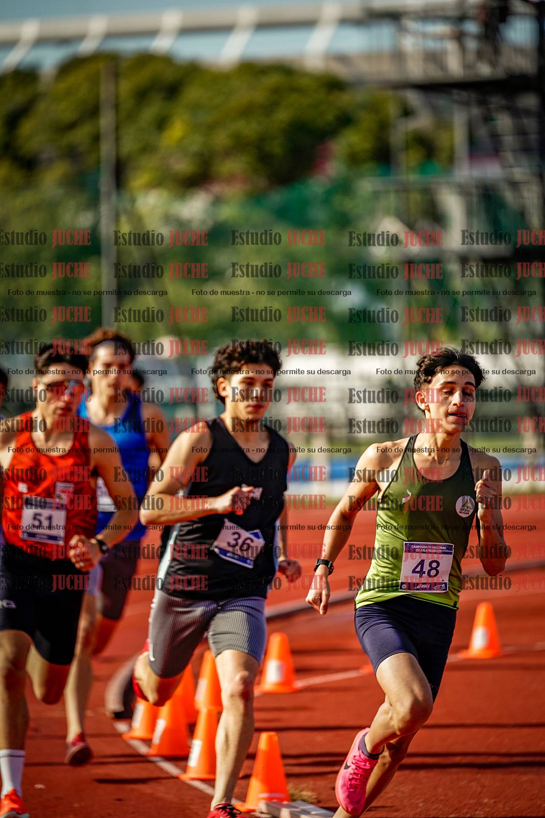 Fotos de los 800 m de varones