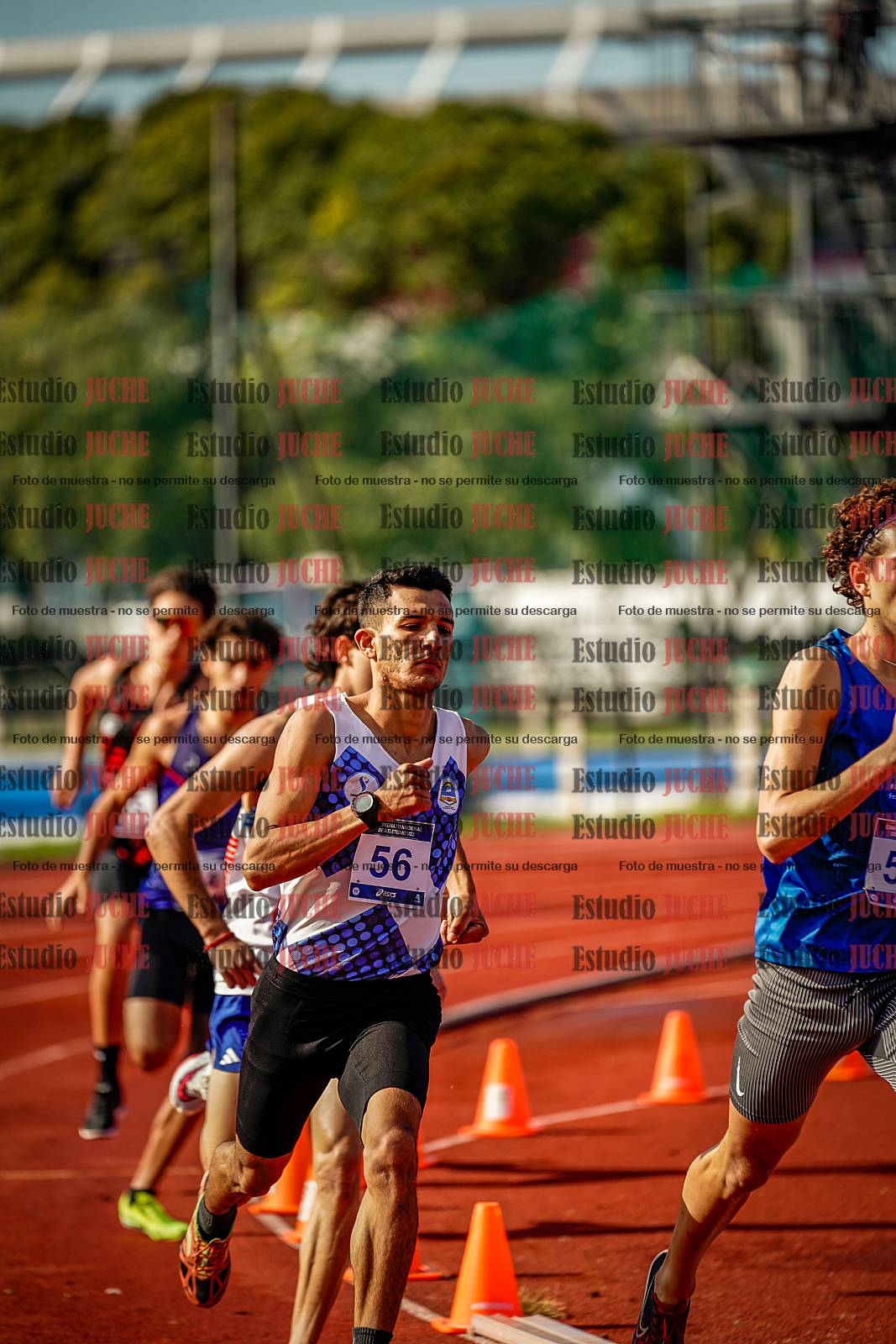 Fotos de los 800 m de varones