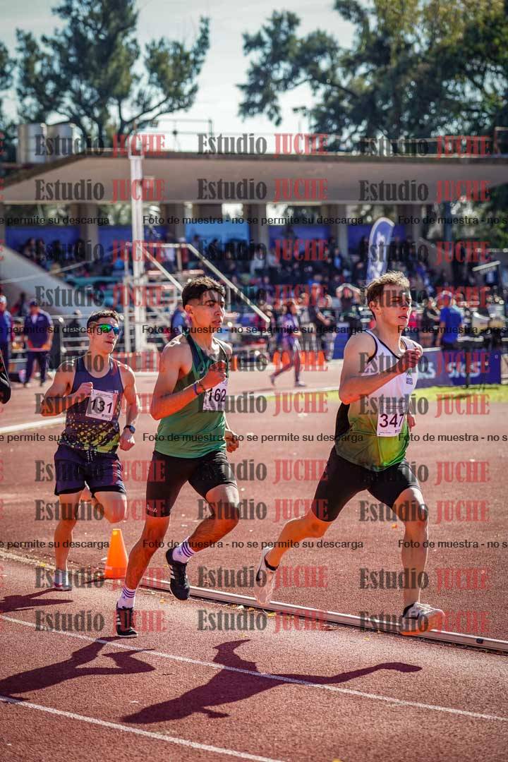 Fotos de los 800 m llanos de varones