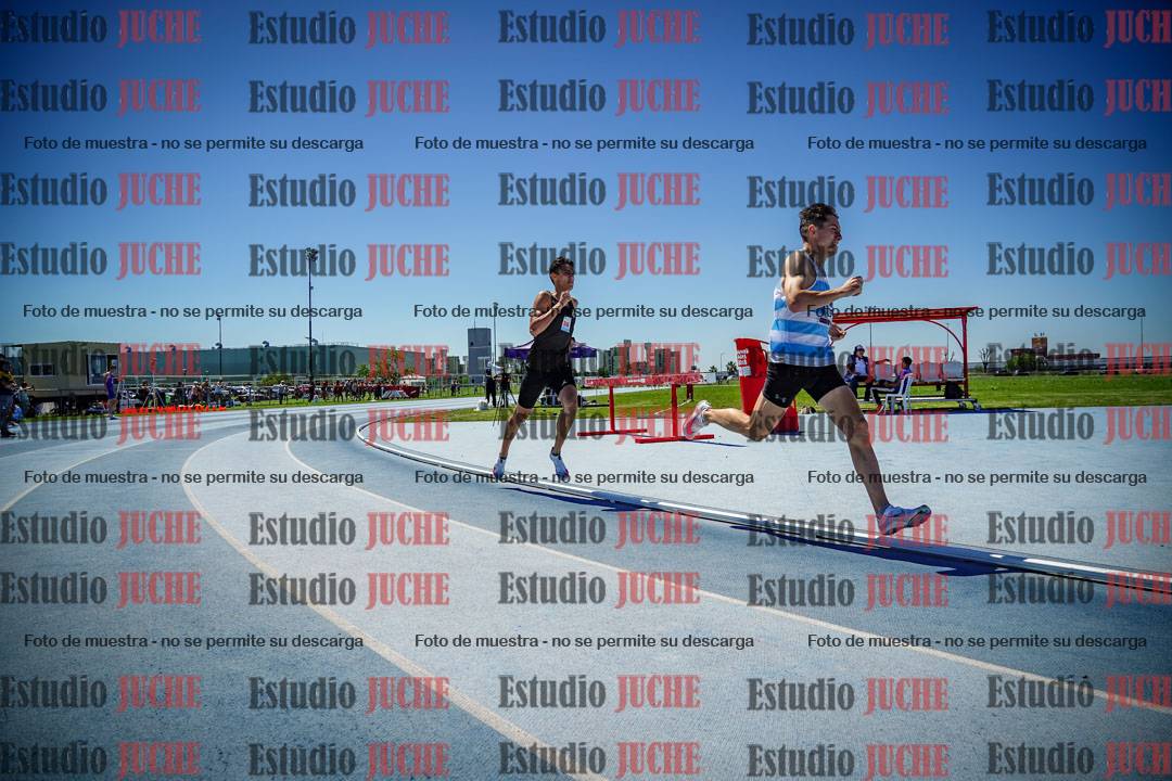 Fotos de los 800 m llanos de varones