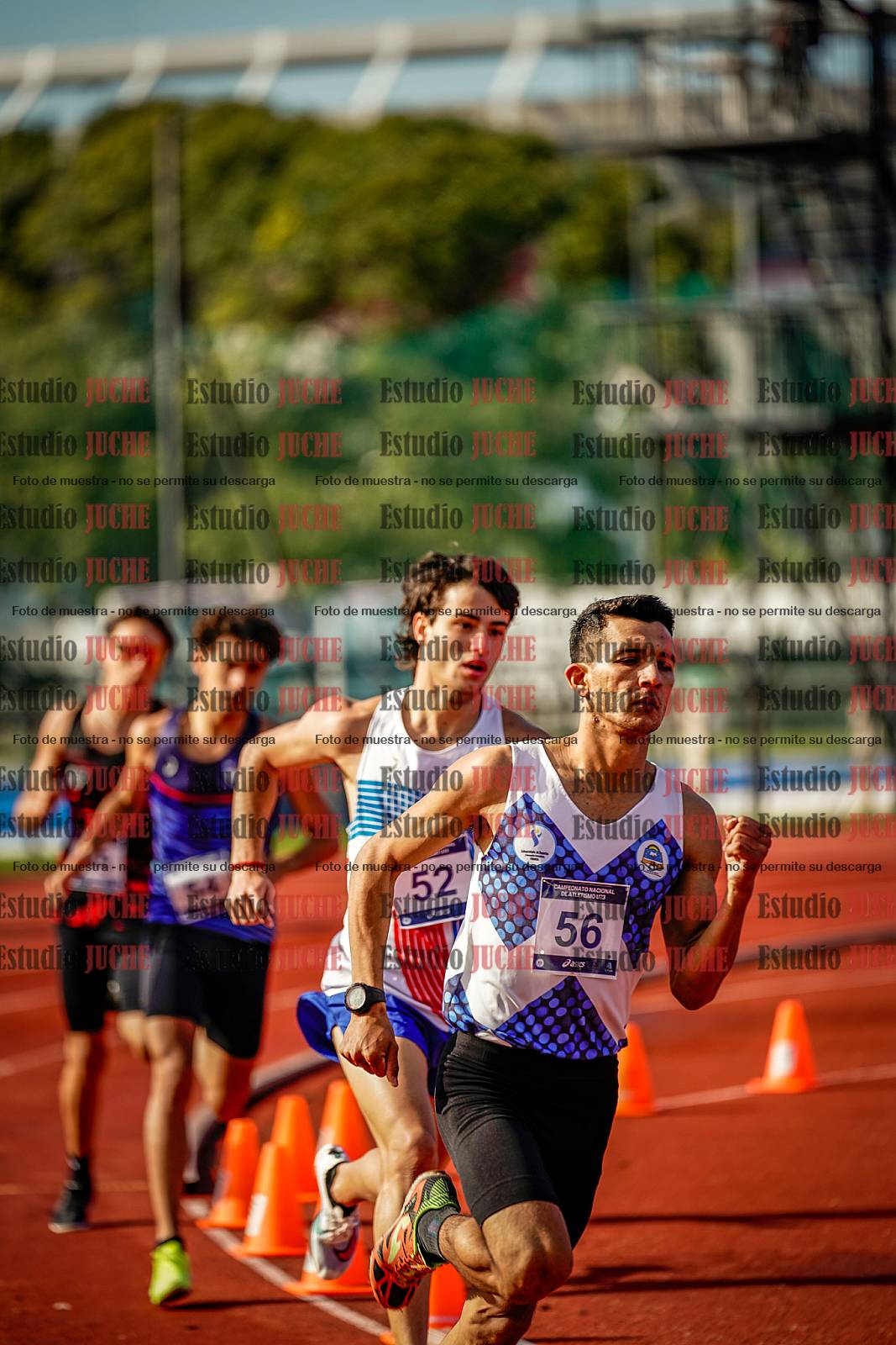 Fotos de los 800 m de varones