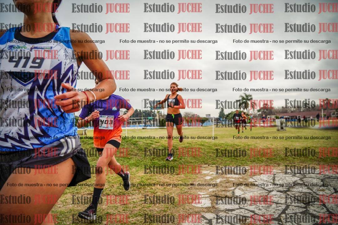 Fotos en el circuito