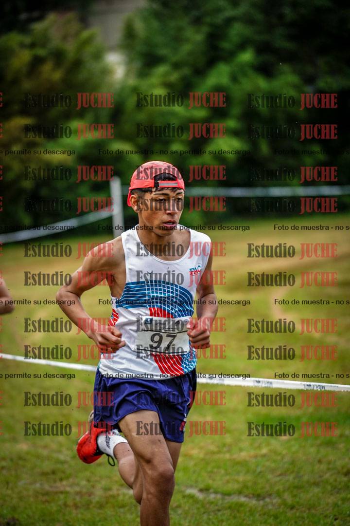 Fotos en el circuito