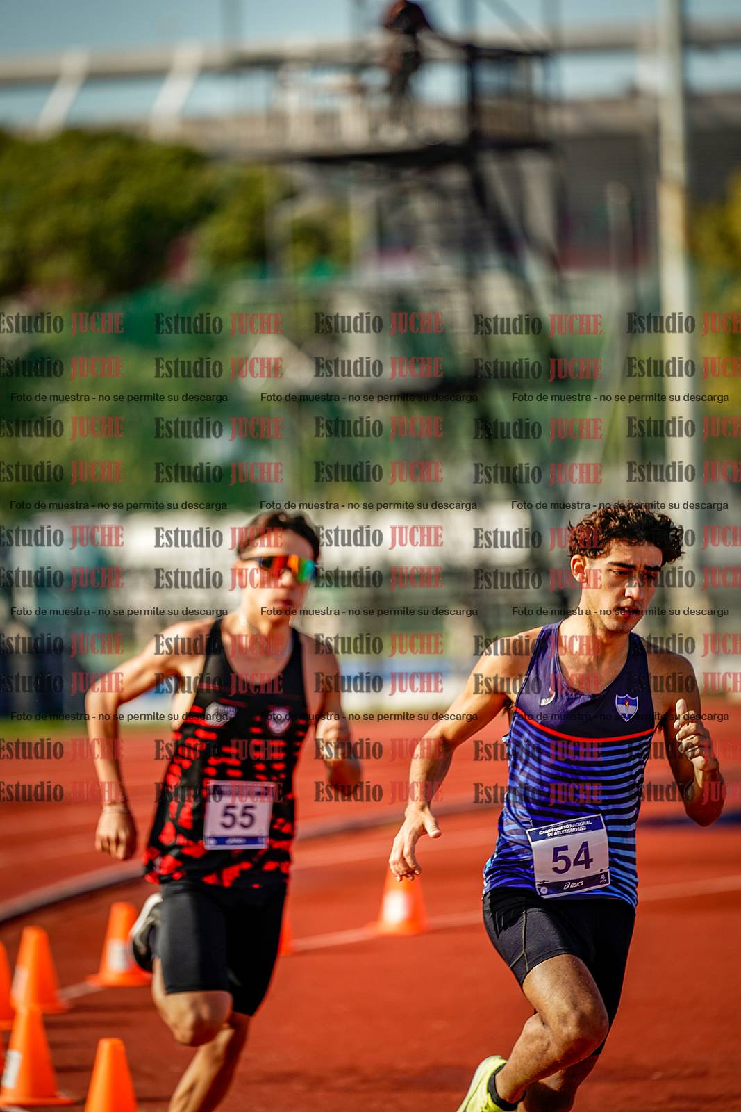 Fotos de los 800 m de varones