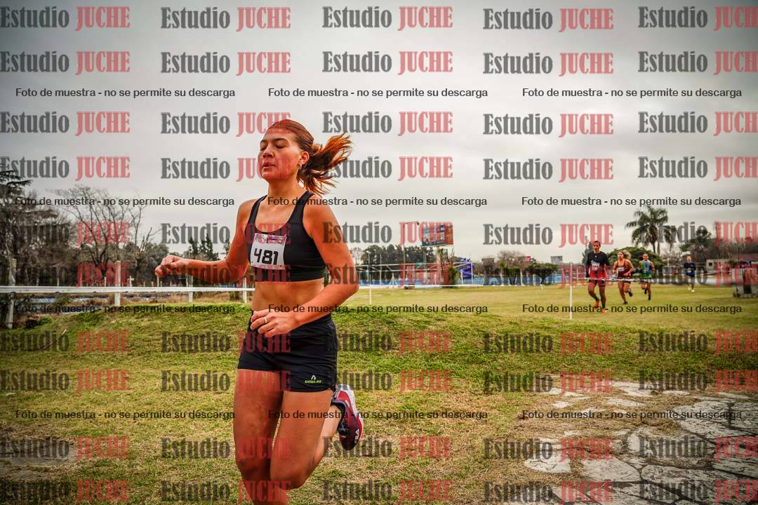 Fotos en el circuito