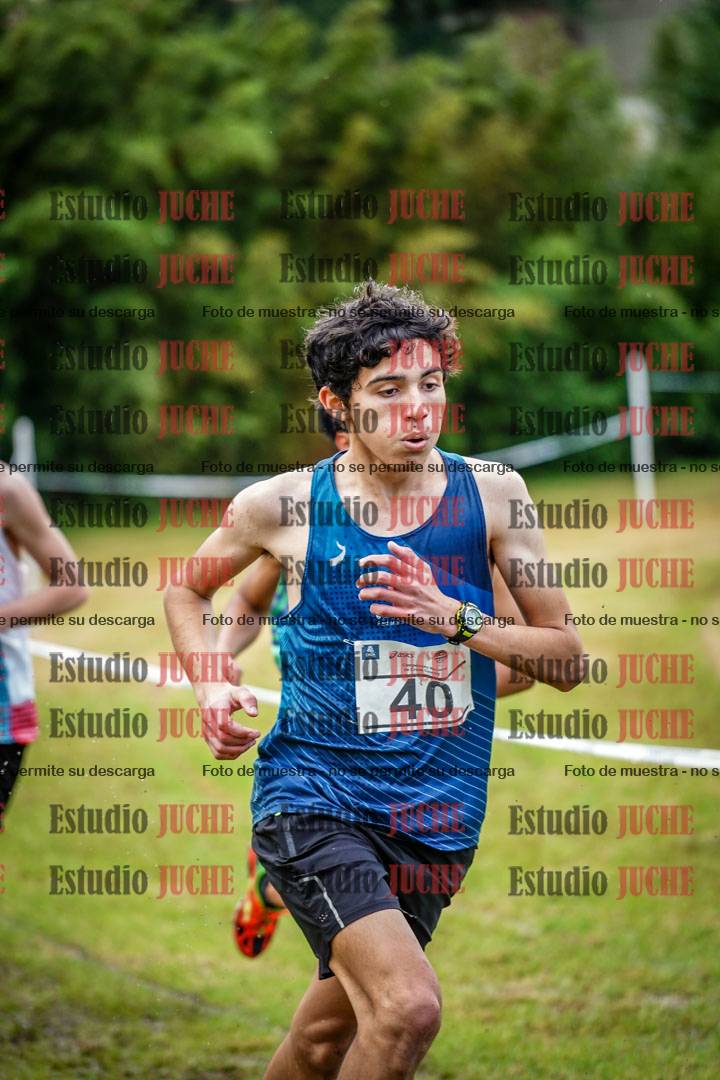 Fotos en el circuito