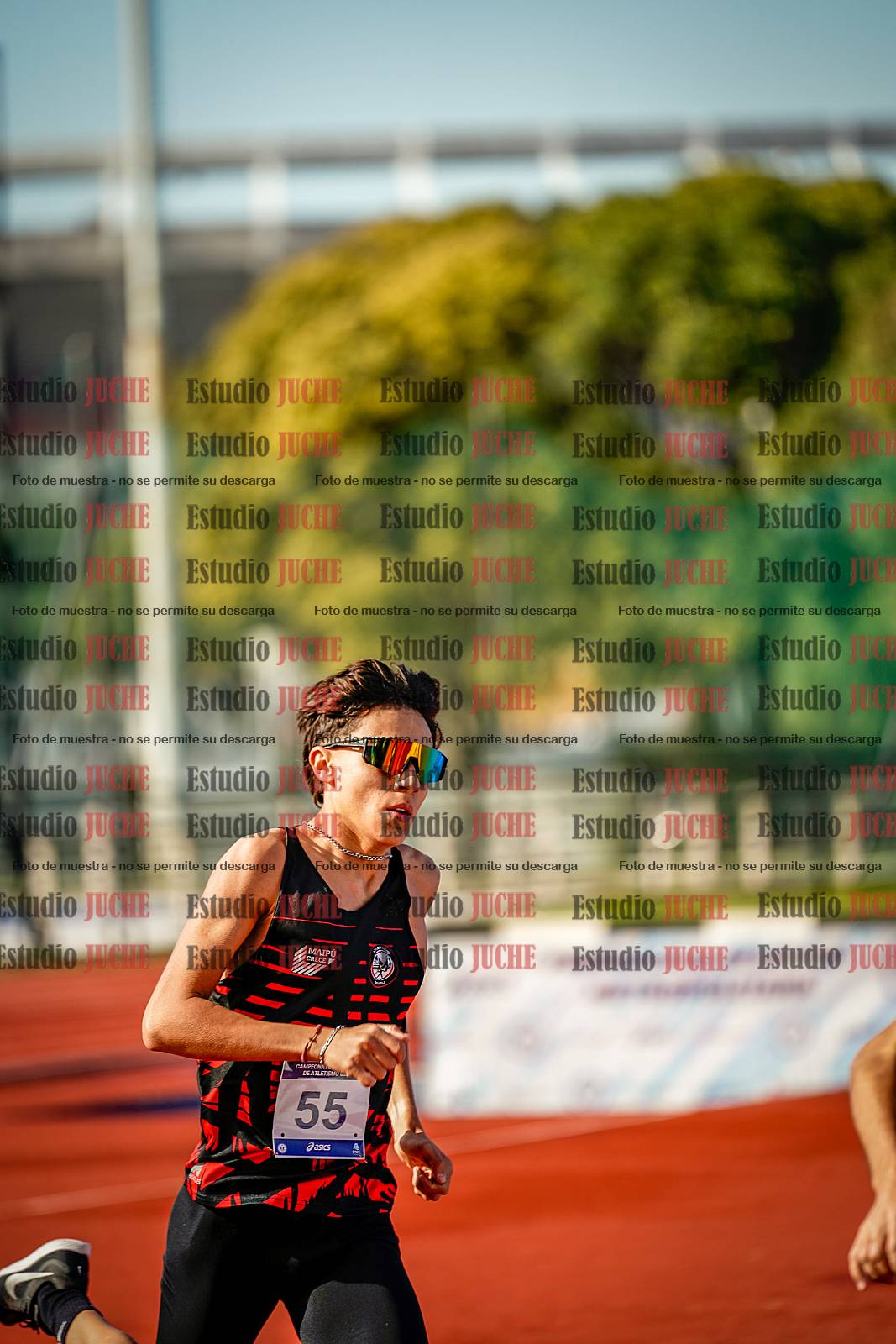 Fotos de los 800 m de varones