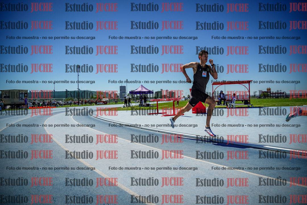 Fotos de los 800 m llanos de varones