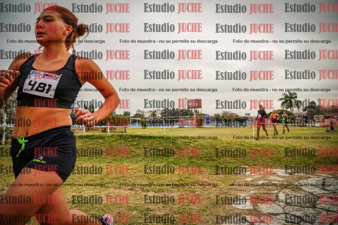 Fotos en el circuito