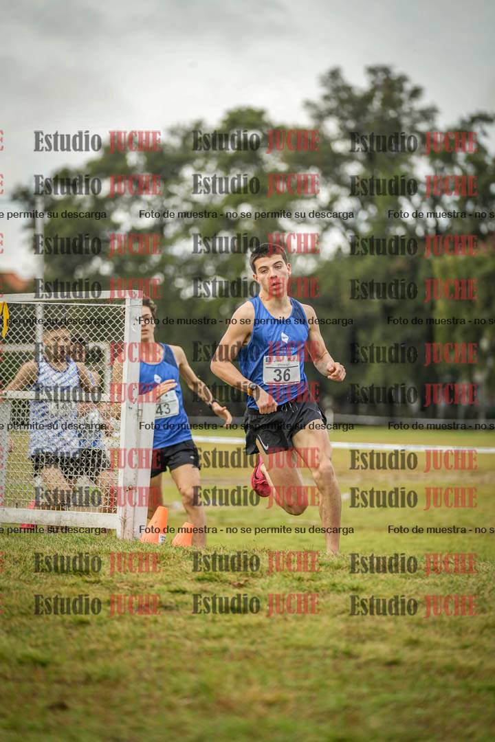 Fotos en el circuito