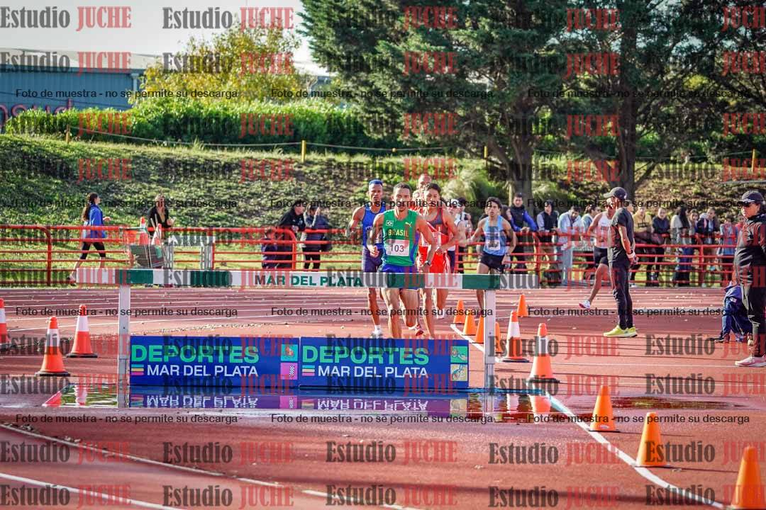Fotos de los 3000 m con obstáculos de varones