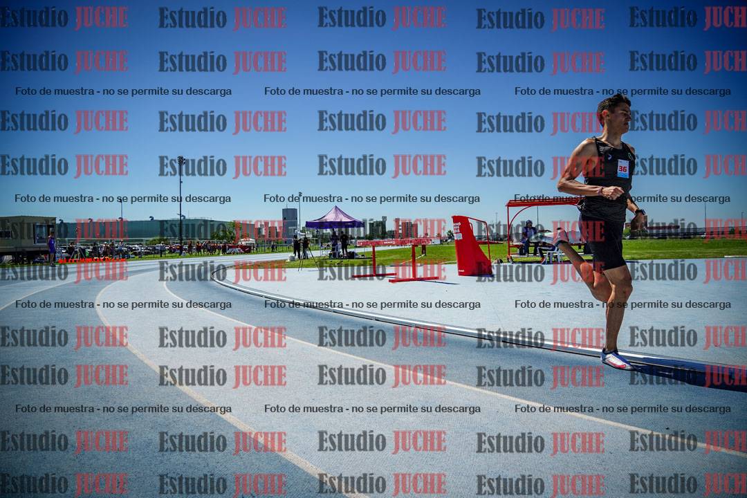 Fotos de los 800 m llanos de varones