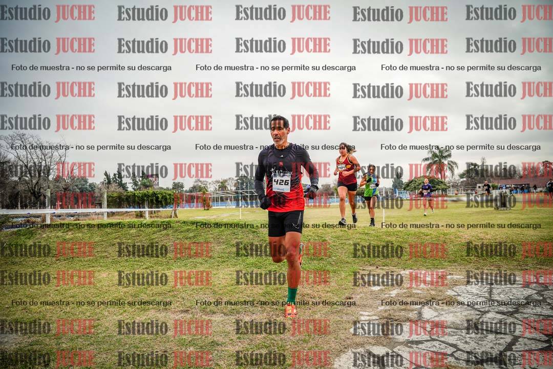 Fotos en el circuito
