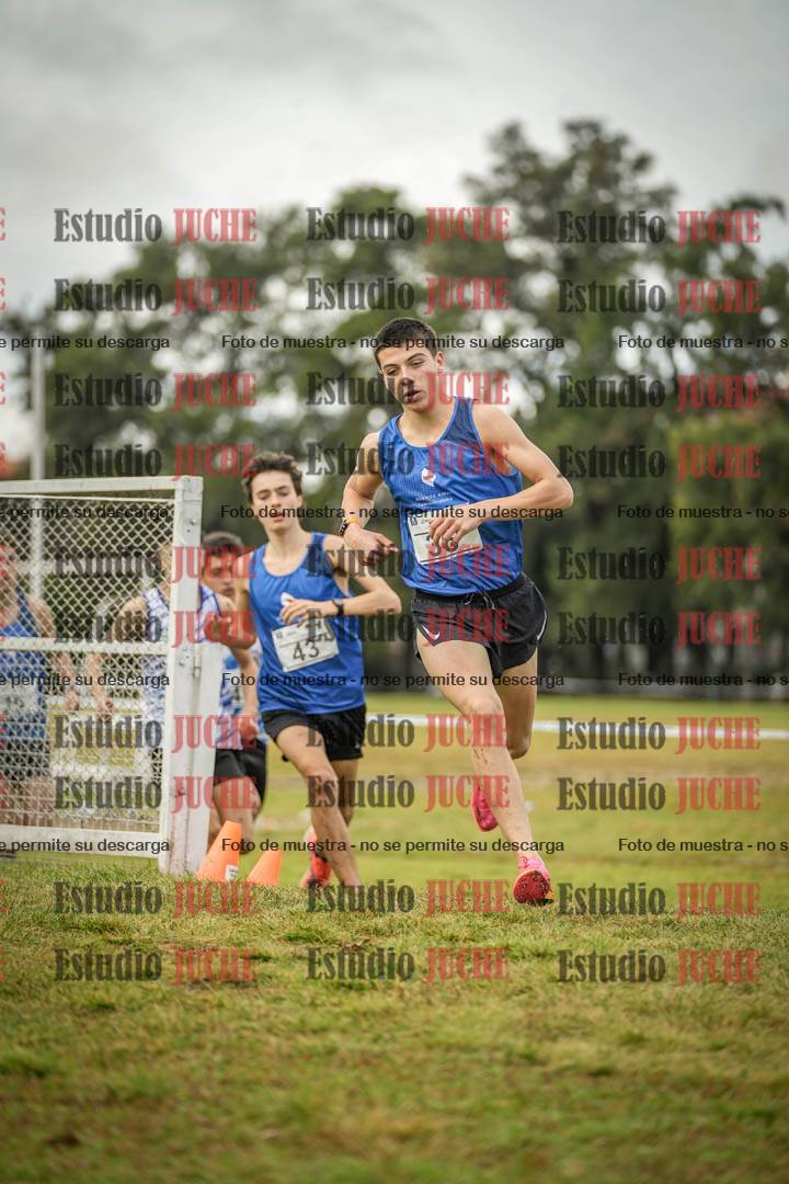 Fotos en el circuito