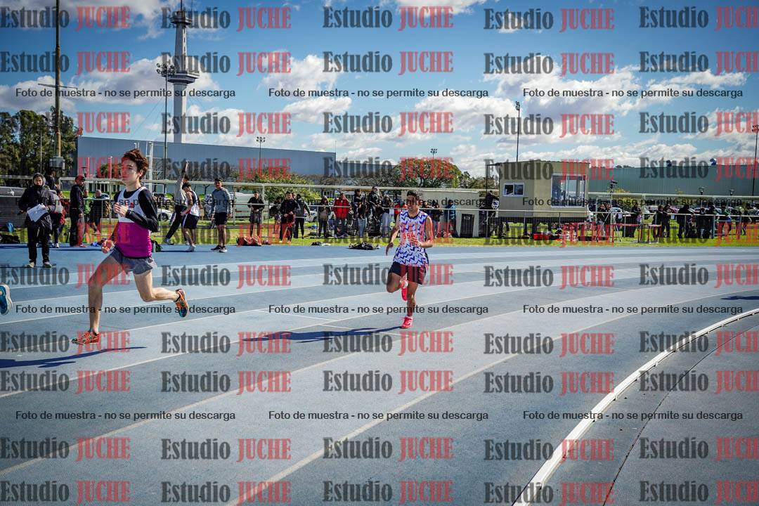Fotos de los 800 m llanos de varones