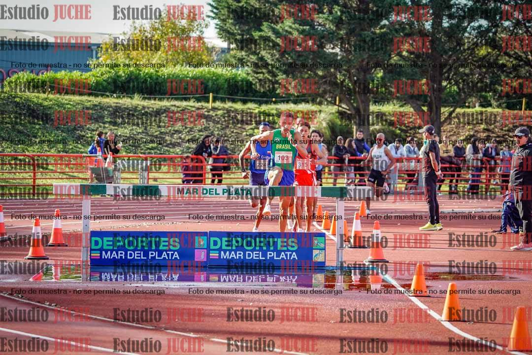 Fotos de los 3000 m con obstáculos de varones