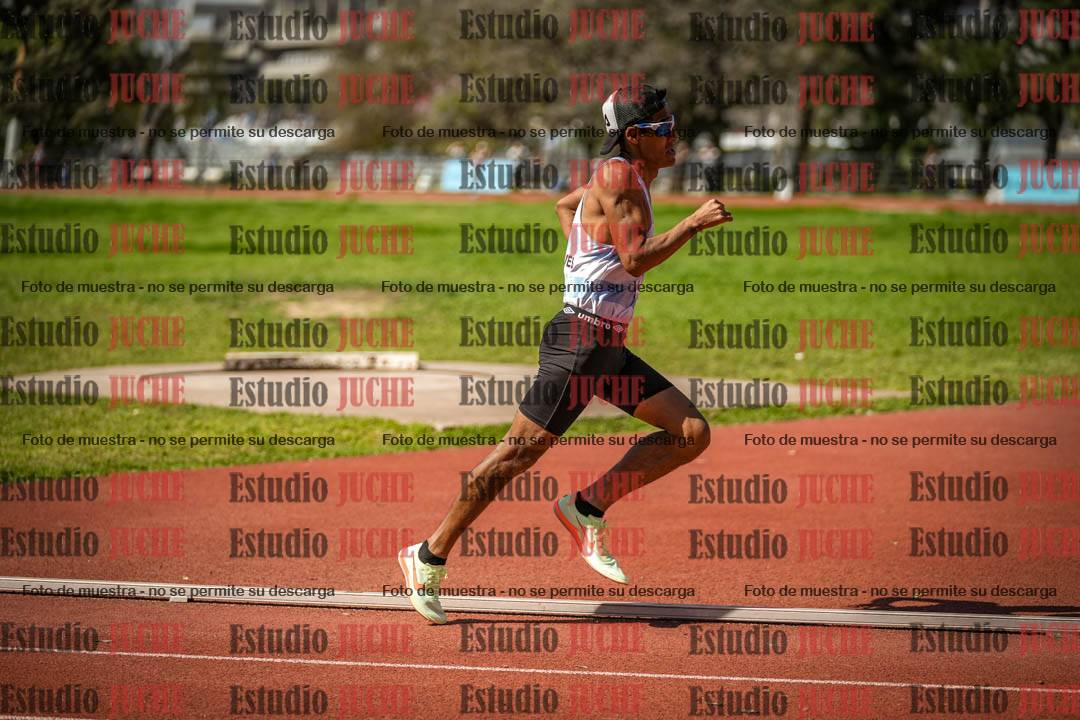Fotos de los 1500 m llanos de varones