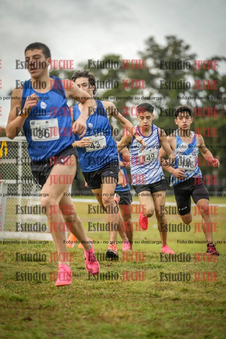 Fotos en el circuito