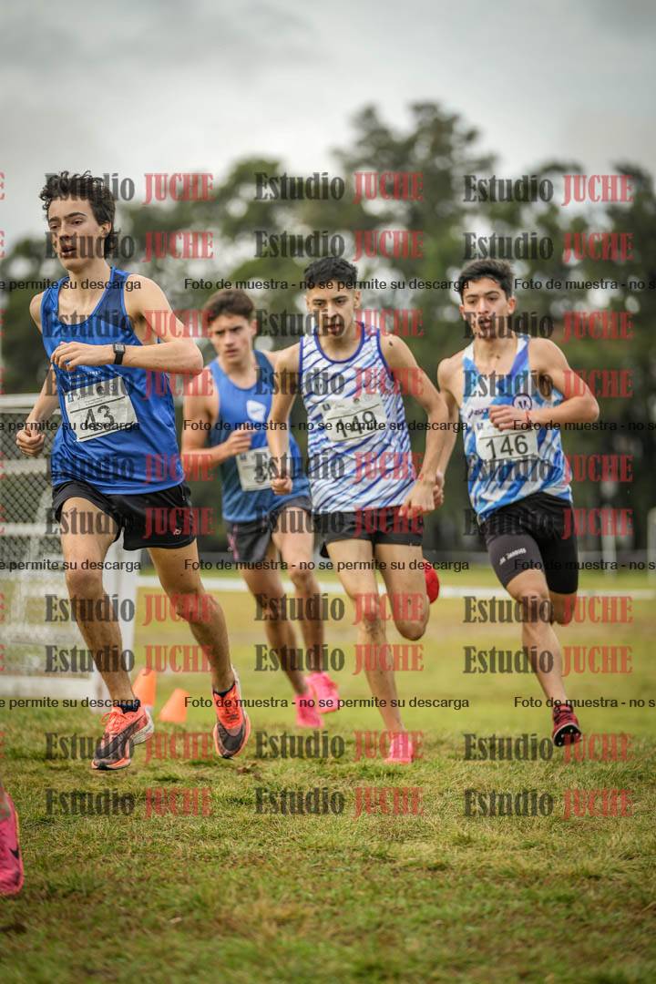 Fotos en el circuito