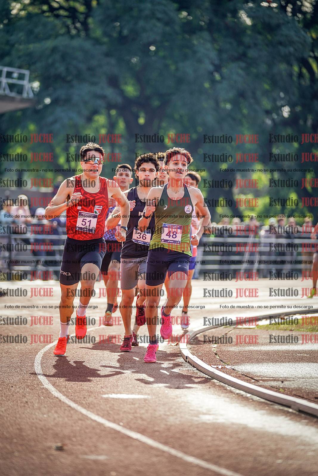 Fotos de los 800 m de varones