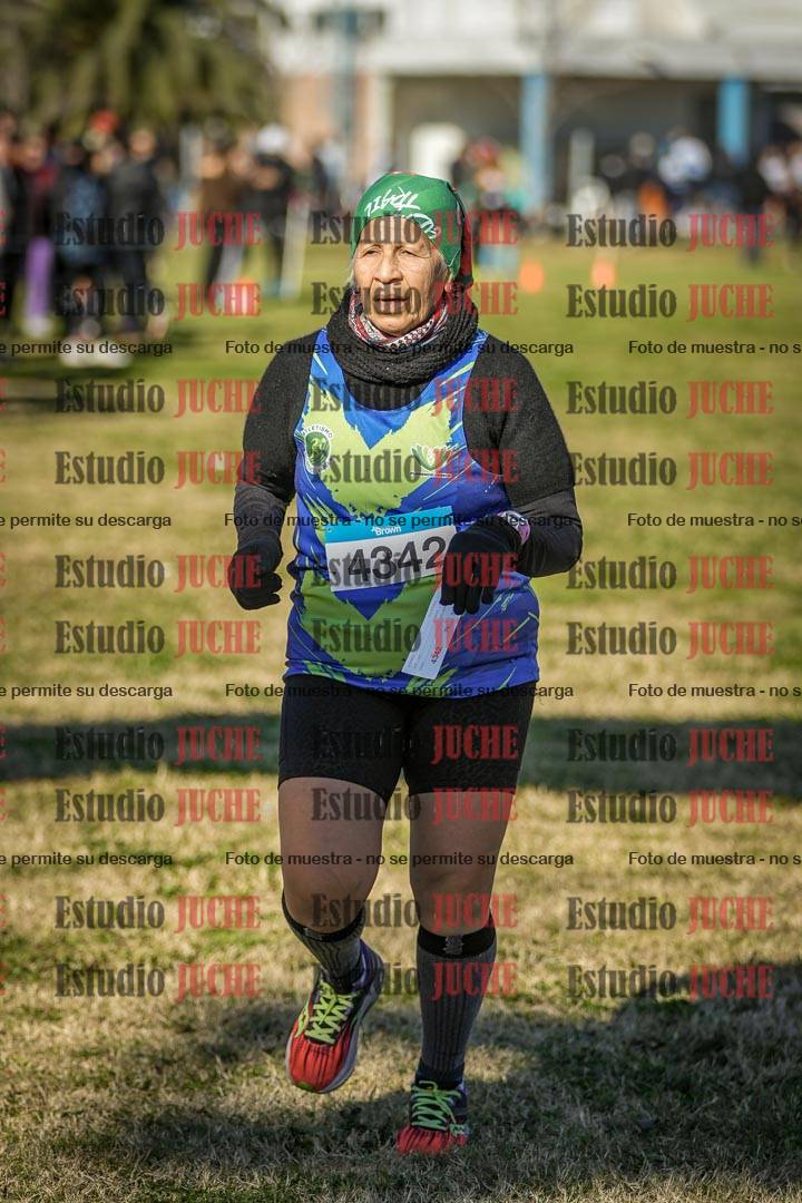 Fotos de las llegadas