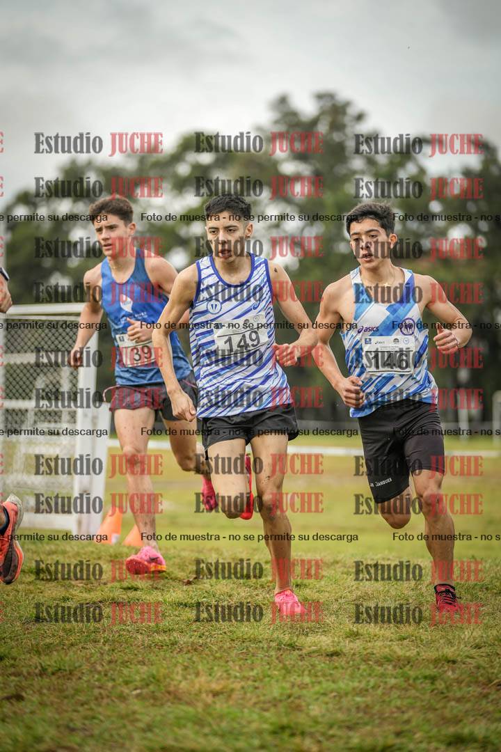 Fotos en el circuito
