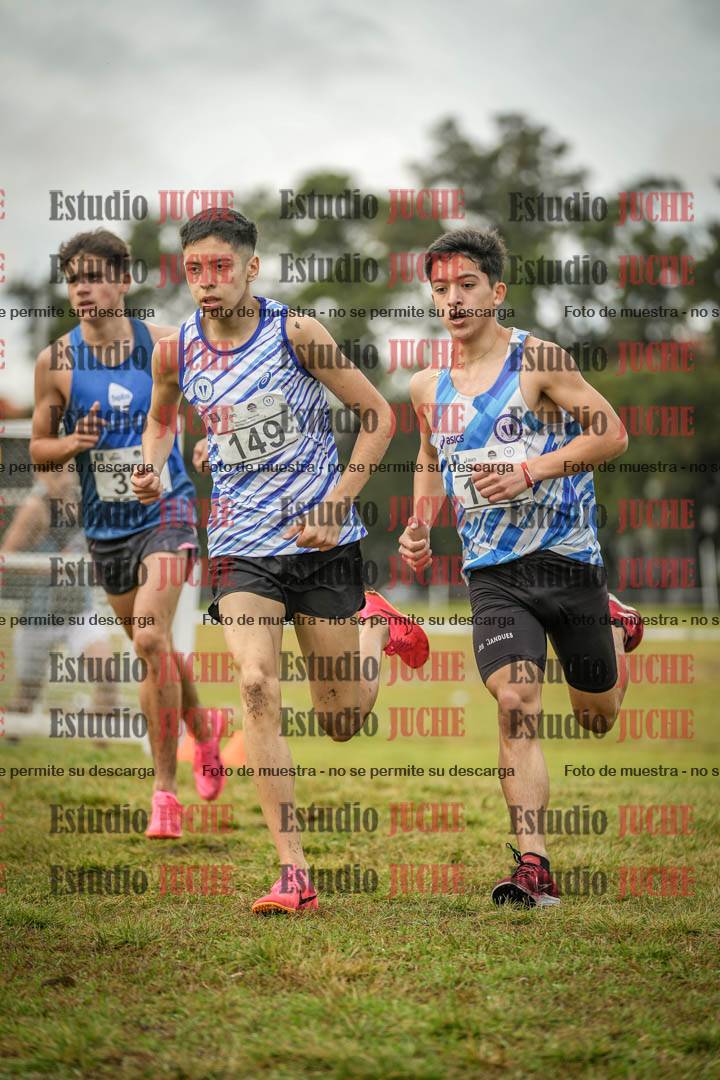Fotos en el circuito
